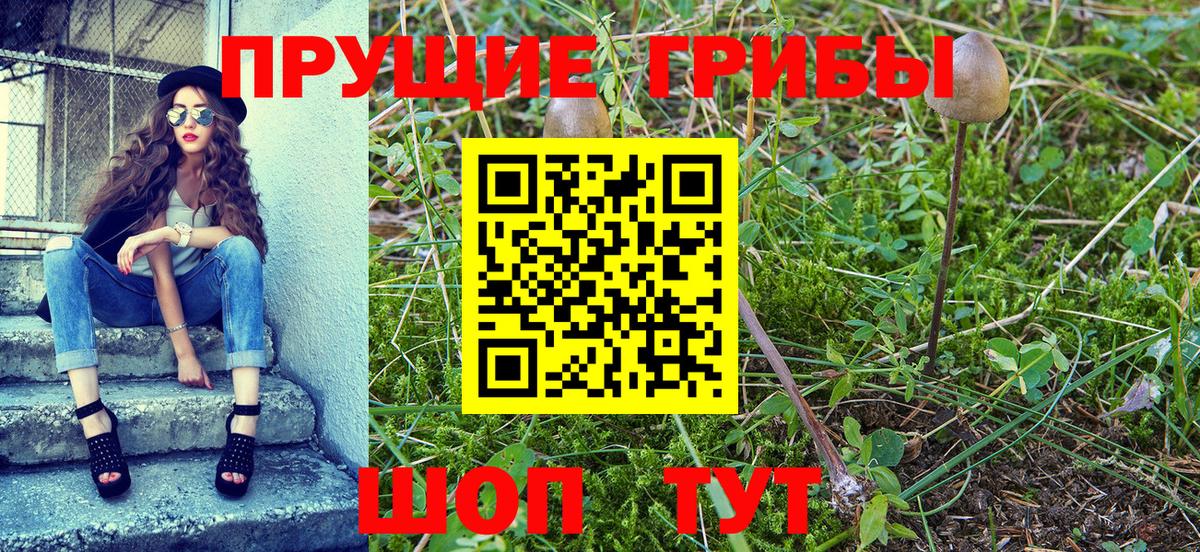 Нижнекамск  Галлюциногенные грибы Cubensis  Вход с VPN 