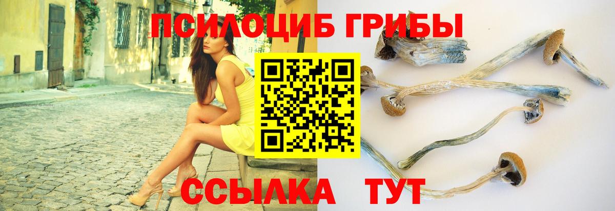 Псилоцибиновые грибы GOLDEN TEACHER Нижнекамск